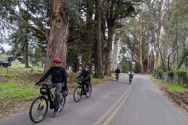 Behind-the-Scenes Food and Wine E-Bike or Regular Bike Tour - Photo 1 of 5